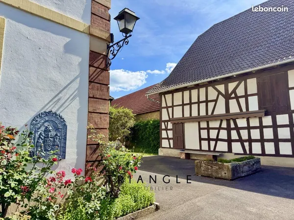 Maison 464 m² Lampertheim