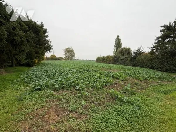 Terrain 2292 m²