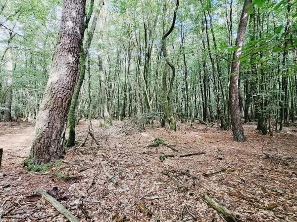Terrain 34220 m²