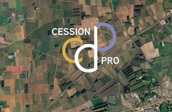 Terrain Artisanal Et Industriel De 13 000 M² A Vendre Sur L'aggl
