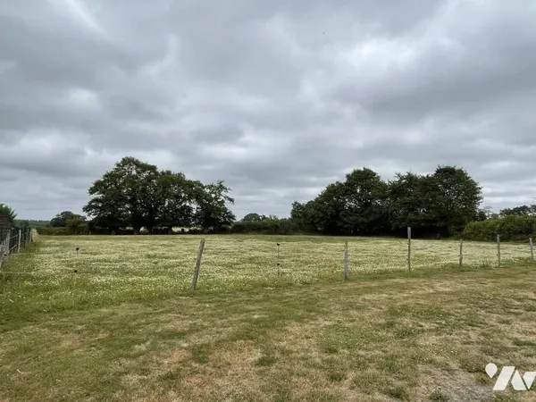 Terrain 4366 m²