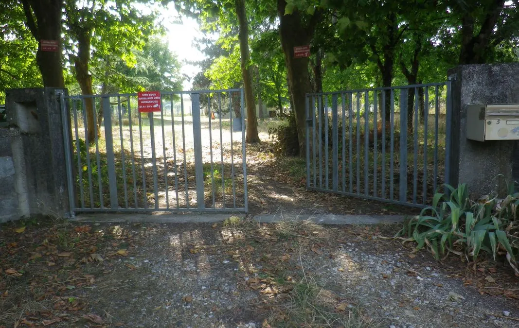 Photo 3