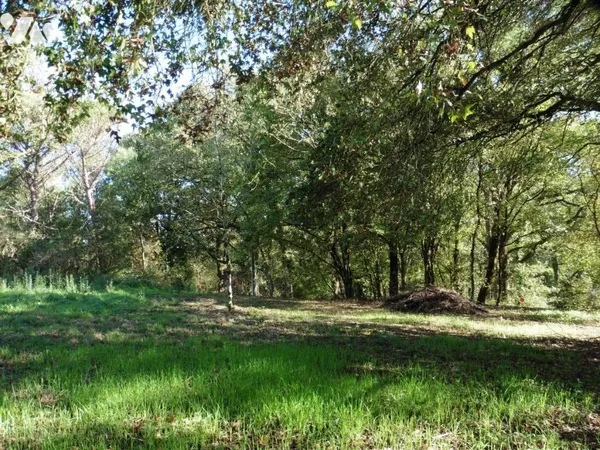 Terrain 314 m²