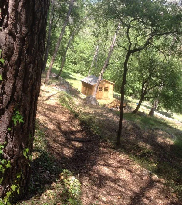 Photo 3