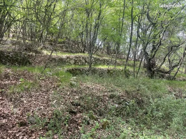 Terrain 6377 m² Sospel
