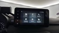 Dacia Sandero 1.0 ECO-G 100ch Stepway Expression — photo 10