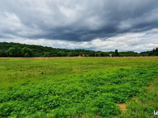 Terrain 2 453 m² Issac