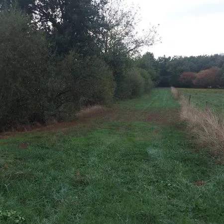 Terrain 7940 m² Orléat