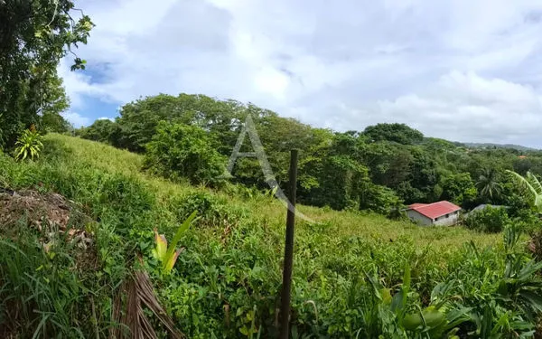 En EXCLUSIVITE: à DUCOS Terrain de 4546 m2