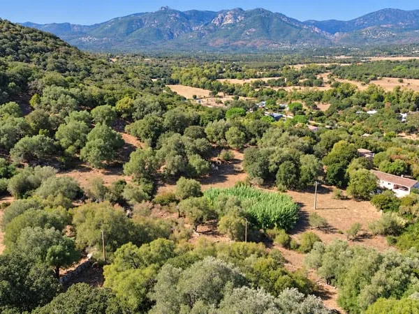 À SEULEMENT 3 min DE PORTO-VECCHIO TERRAIN DE 18 830 m2 AV
