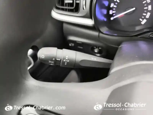 Citroën C3 bluehdi 100 bvm6 — photo 22