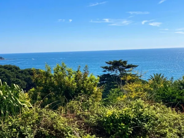 Terrain 1248 m²