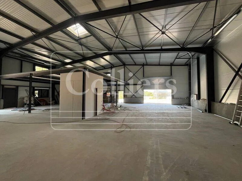 Photo 6