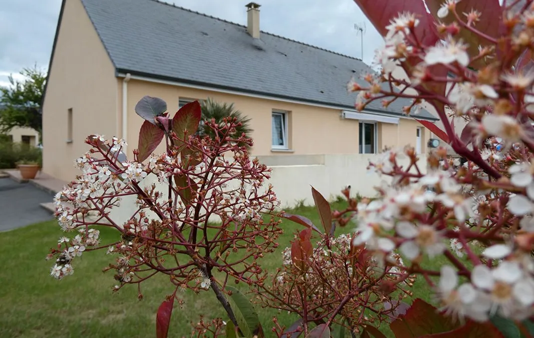 Photo 5