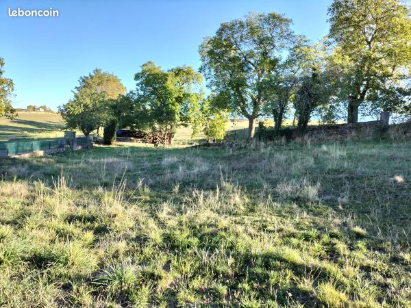 Terrain contructible