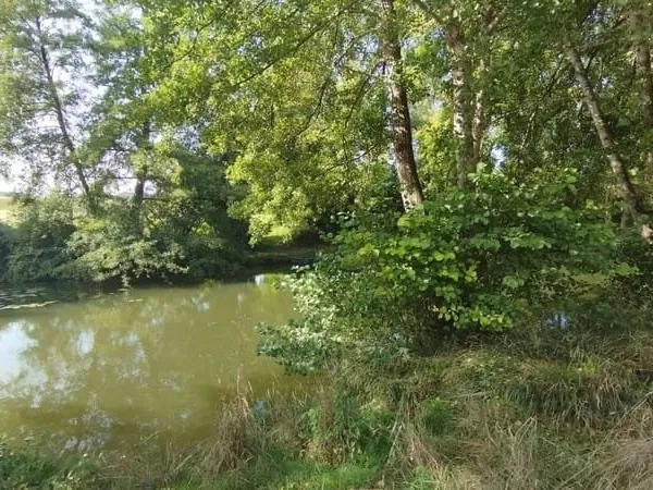 Terrain 2095 m²