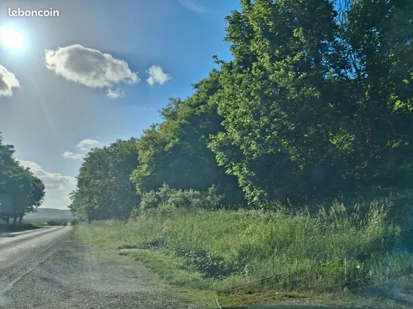 Bois / forêt 2,4ha - Givry / Chalon - accès facile - feuillus