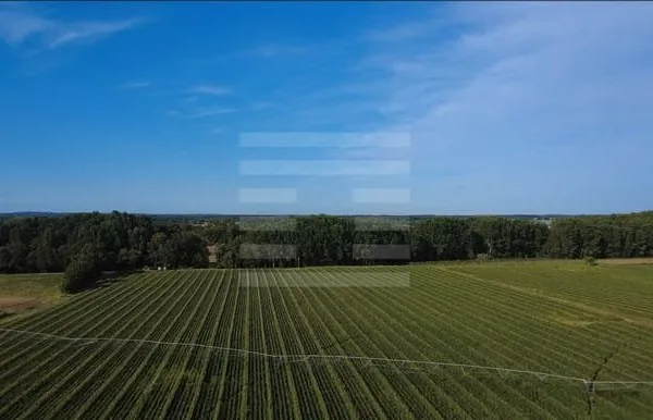 Propriété agricole