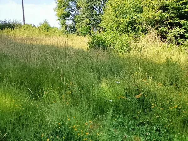 Terrain 2 hectares proche de Verneuil-sur-Vienne