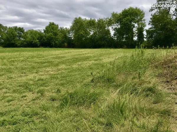 Terrain 1 916 m² Saint Etienne Sur Reyssouze