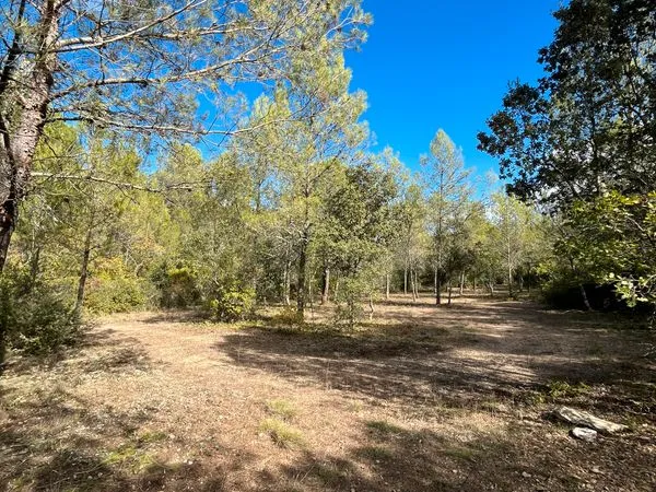 Terrain agricole / loisir 6 510 m² - accès voiture - 3 parcelles attenantes