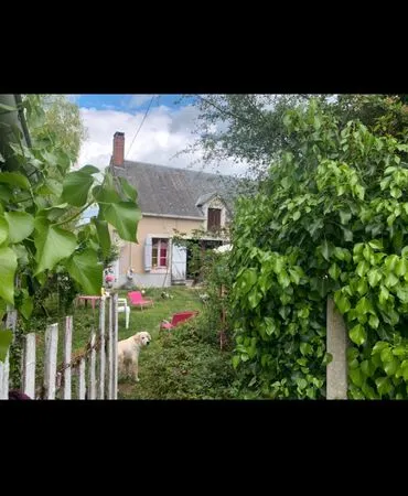 Véritable havre de paix - Longère isolée avec dépendances et grand terrain