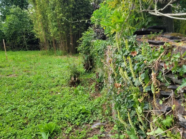 Terrain 380 m²