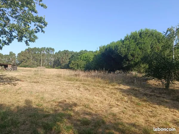 Vente terrain st lys