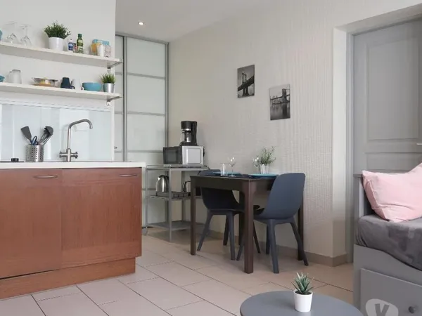 MONTCHAPET prox CV et BSB T1 BIS 32M² MEUBLE, RENOVE