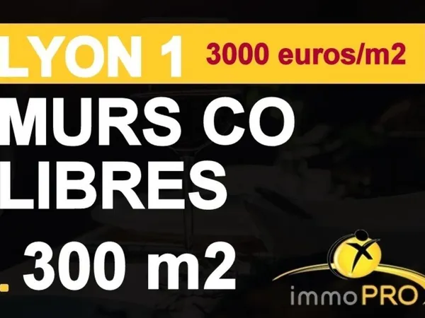Vente / Local Commercial - 302 m²