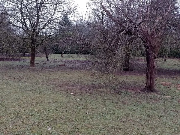 Terrain à bâtir