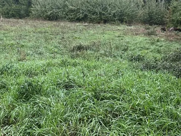 Terrain 1 570 m² Coursac