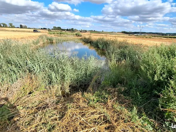 Terrain de loisir avec etang