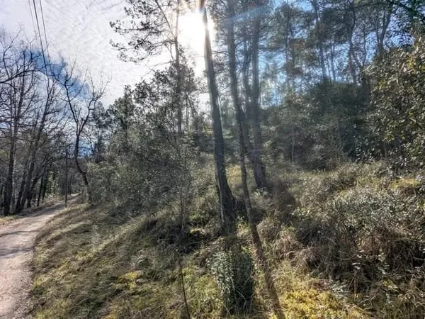 ENTRECASTEAUX - Parcelle 8.850m² boisée