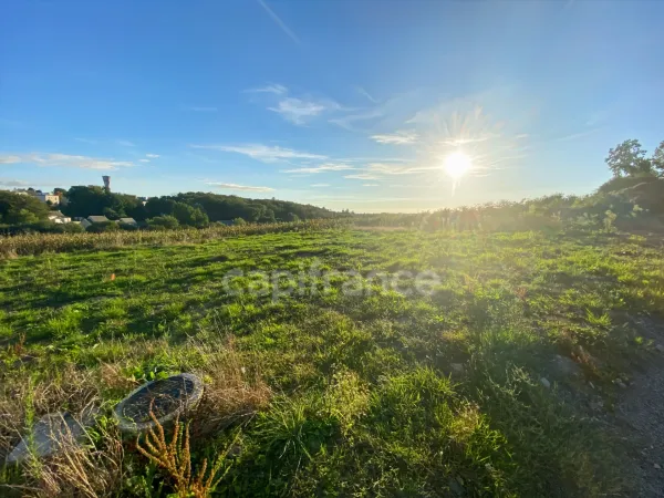 Terrain 558 m²