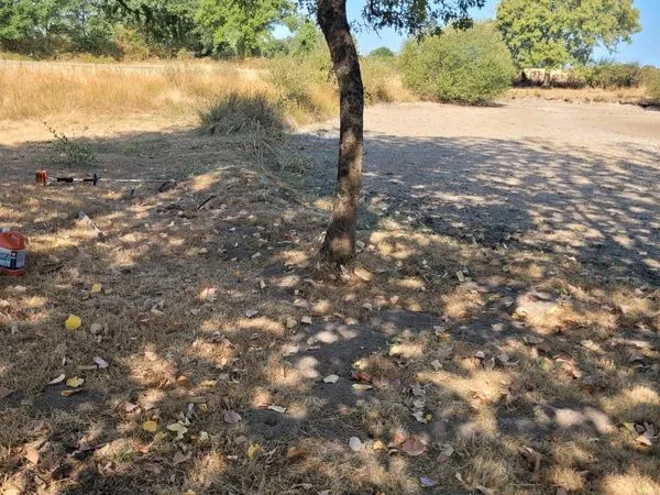 TERRAIN DE LOISIRS 8 000 m² AVEC MARE PRIVÉE + CABANE - CLessé (79)