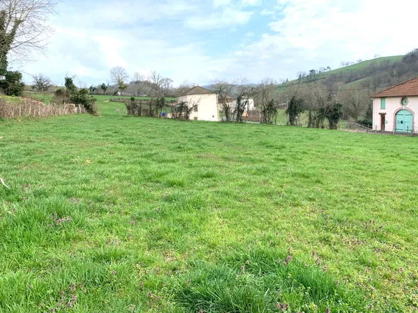 Terrain en individuel 1590 m²