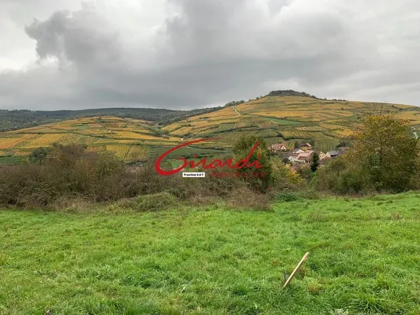 SOULTZMATT (68570) MAGNIFIQUE TERRAIN DE CONSTRUCTION SUR LE