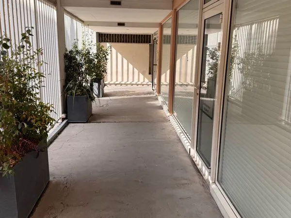 Local professionnel bail précaire