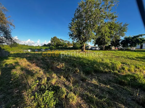 À Vendre Terrain de 6 389 m² SAINTE-ANNE