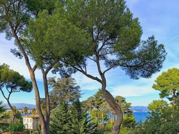 Villa 350 m²