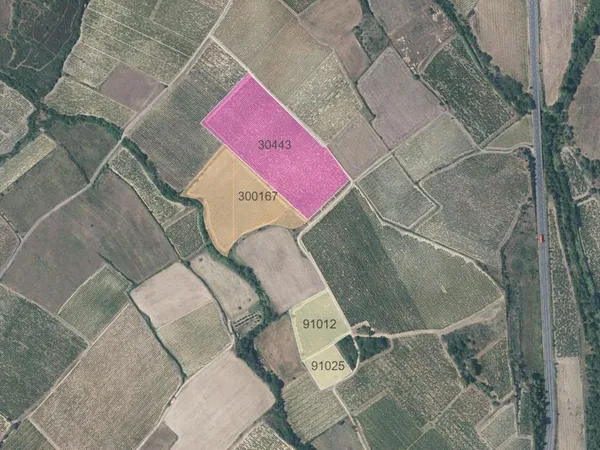 Vente parcelles de vignes AUTIGNAC
