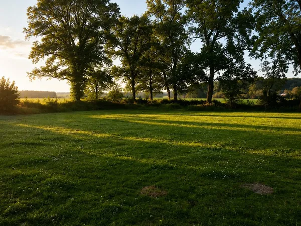 Terrain 1300 m²