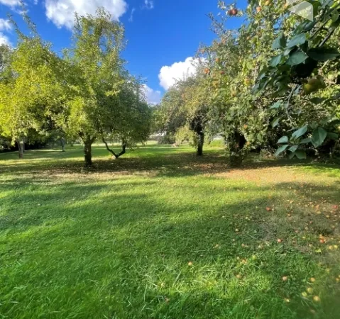Terrain 1482 m²