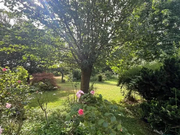 Gros potentiel pour cette maison de famille à Escobecques n° 7092