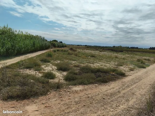 Terrain agricole Torreilles