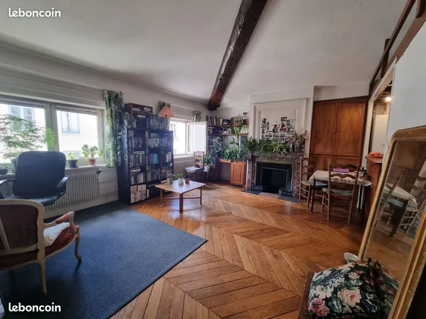 T2 bis - 50m2 + mezzanine - vue place Bellecour