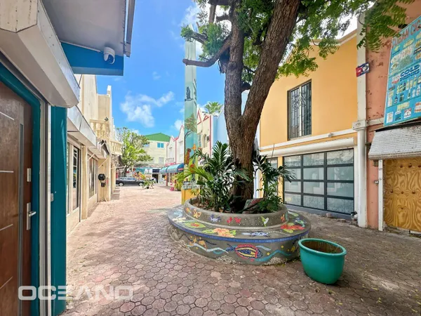 Local 67 m²