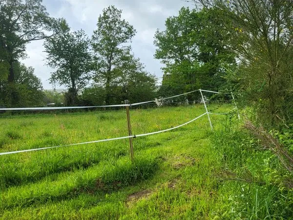 2 hectares environ ( 19760 m² )