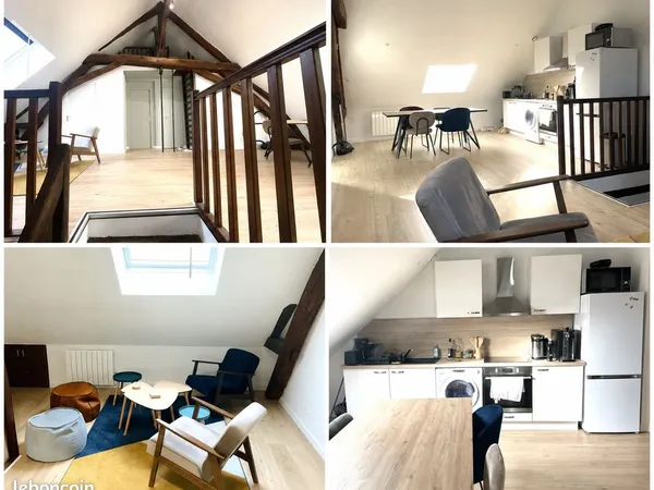 Chambre 13 m² dans une colocation de 2 - CV de Troyes